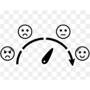 Emotional Regulation